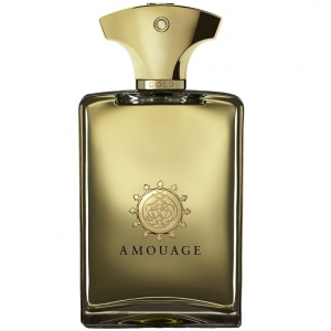 Купить духи (туалетную воду) Gold pour Homme (Amouage) 100ml ТЕСТЕР. Продажа качественной парфюмерии. Отзывы о Gold pour Homme (Amouage) 100ml ТЕСТЕР.