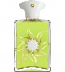 Sunshine Man (Amouage) 100ml ТЕСТЕР